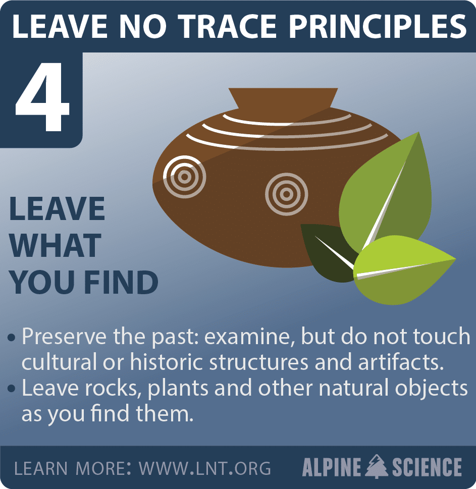 leave no trace 4 blue