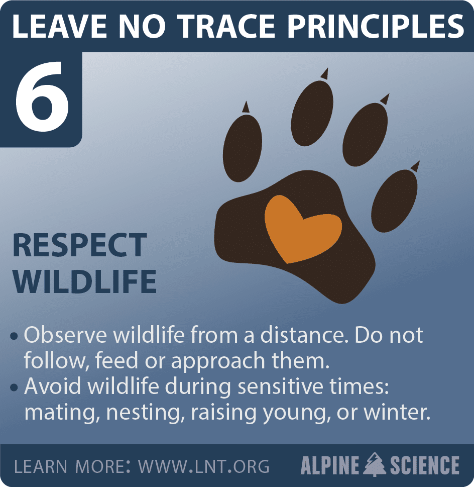 Leave No Trace Seven Principles